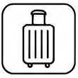 Luggage Assistance